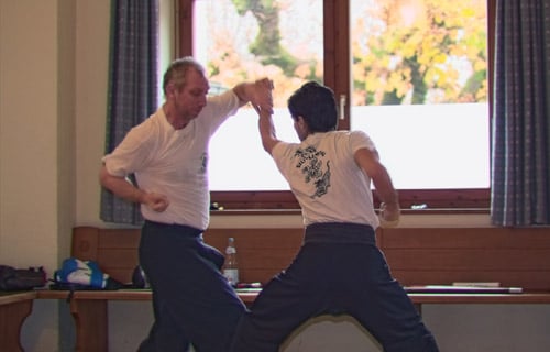 Kung Fu Zweikampf