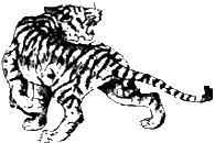 Tigerform