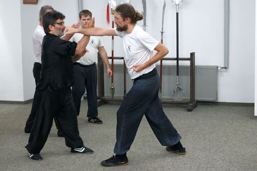 ortgeschrittenen Kung Fu Training mit Sifu Alan Baklayan
